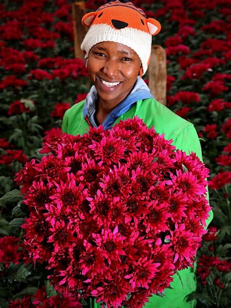 types of flowers in kenya