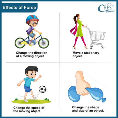 types of force class 4 notes