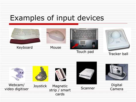 types of input and output devices with examples