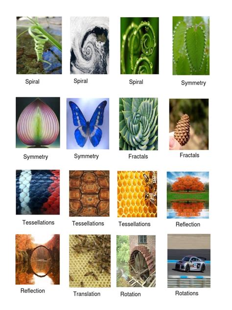 types of patterns in nature pdf