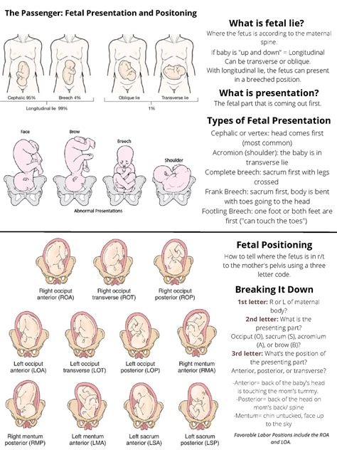 types of presentation of fetus