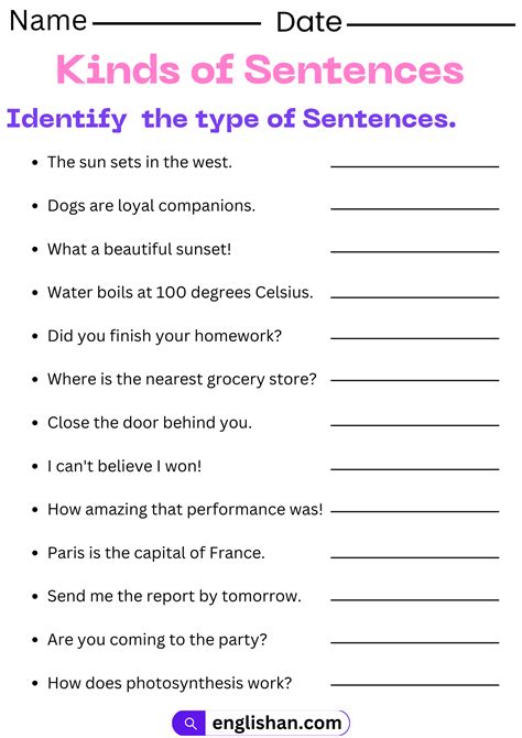 types of sentences exercises for class 7