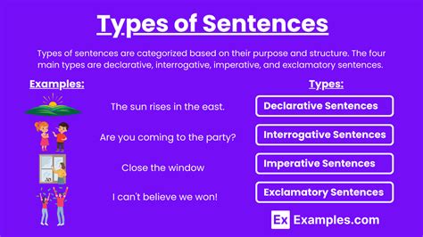 types of sentences with examples class 8