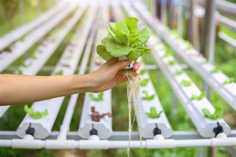 types of small hydroponic systems