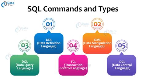 types of sql commands class 12