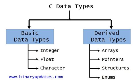 types of variables in c programming with examples