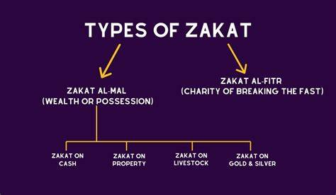 types of wealth for zakat