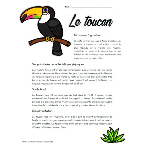 un texte informatif exemple pdf
