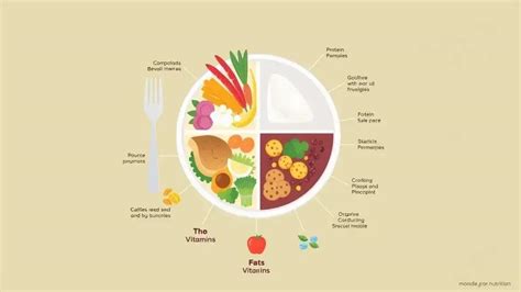 understanding balanced nutrition