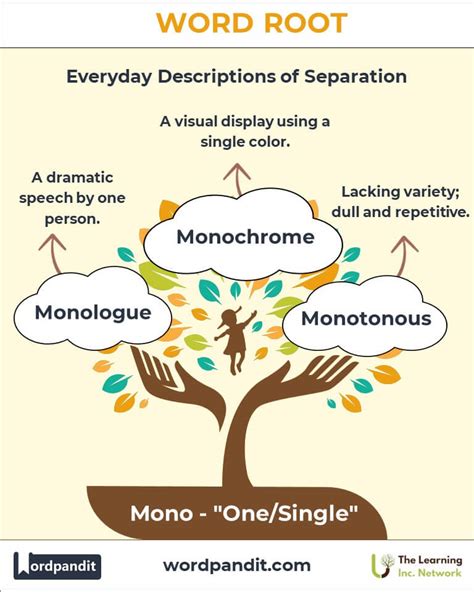 uni mono root word examples