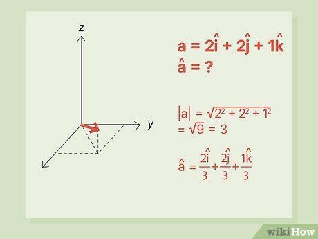 unit vector sample problem
