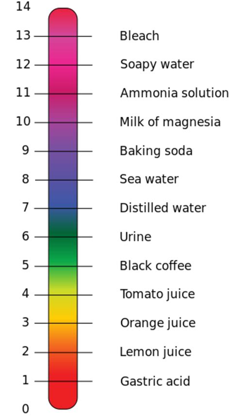 universal indicator example