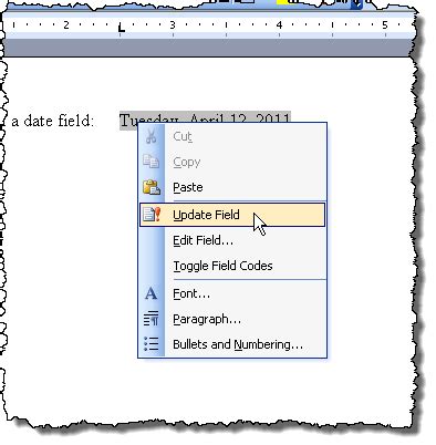 update field codes in word