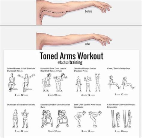 upper and lower arm exercises