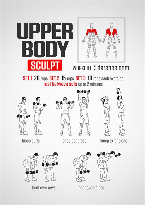 upper body exercises to do with dumbbells