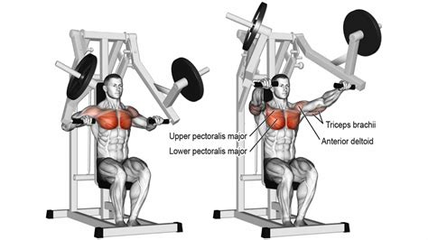 upper chest machine exercises