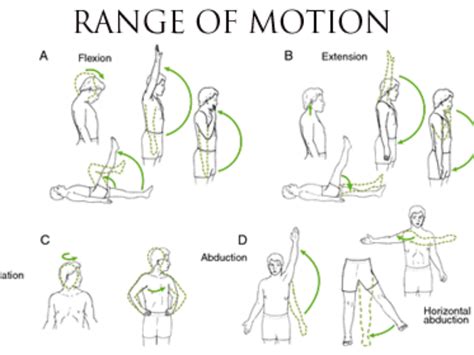 upper limb mobility exercises