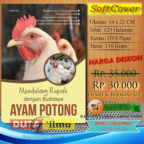 usaha jual ayam potong indonesia