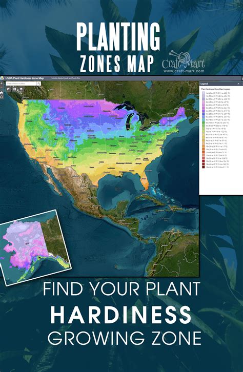 usda growing zones by zip code