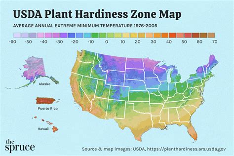usda zone by zip code
