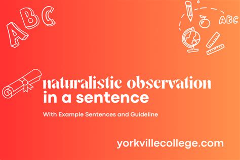 use naturalistic observation in a sentence