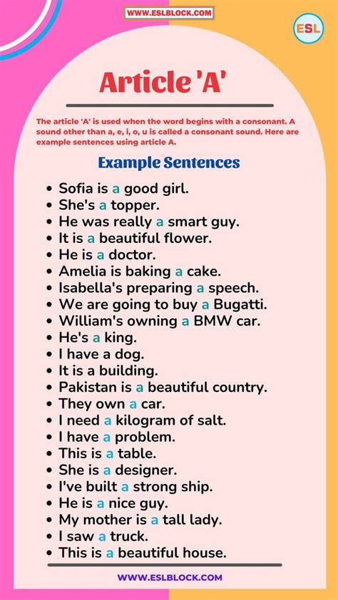 use of articles with examples sentences