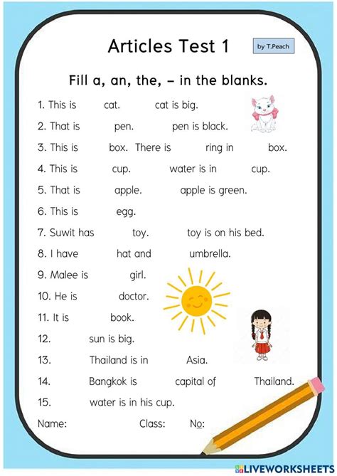 use of articles with examples worksheet