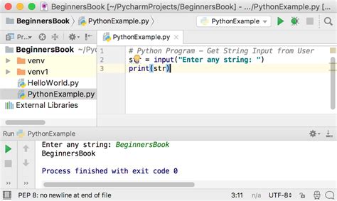 user input code in python