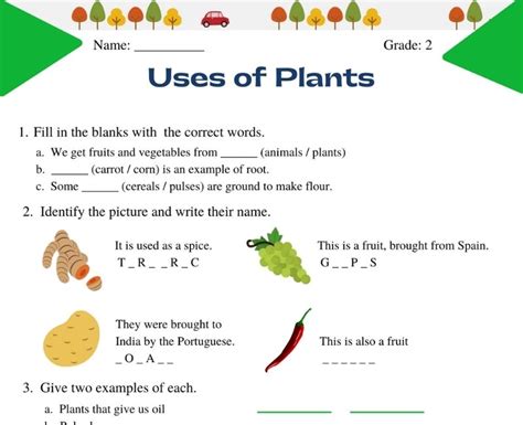 uses of plants for class 2 questions and answers