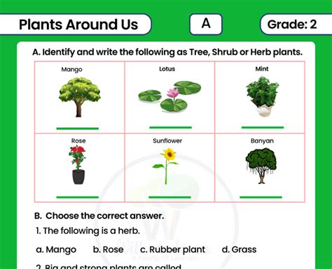 uses of plants for class 2 questions and answers pdf
