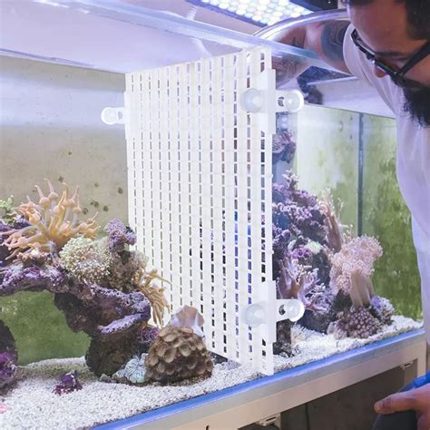 using egg crate in aquarium