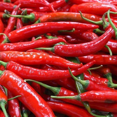 varietas cabe