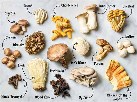 various mushrooms