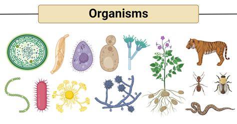 Various organisms