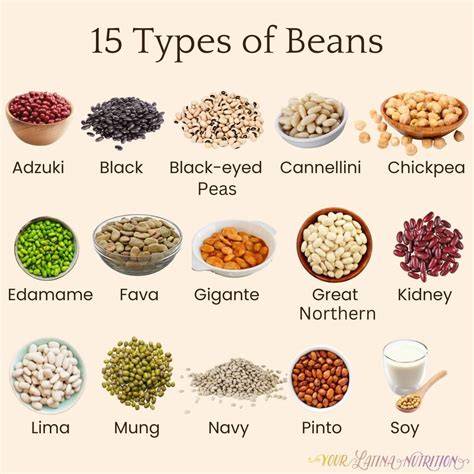 Kacang-Kacangan: Si Makanan Ajaib Panjang Umur