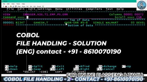 vb file handling in cobol