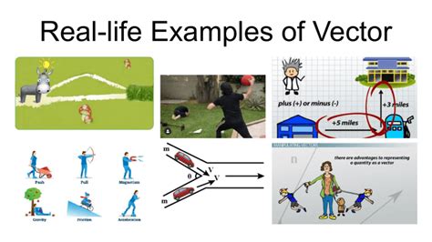 vector field examples in real life