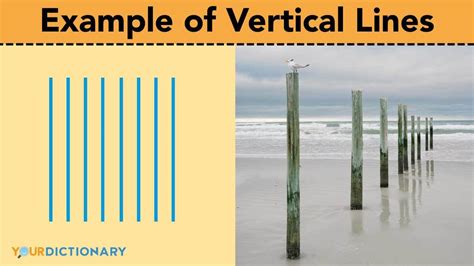 vertical line geometry examples
