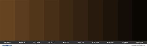 very dark brown hex code