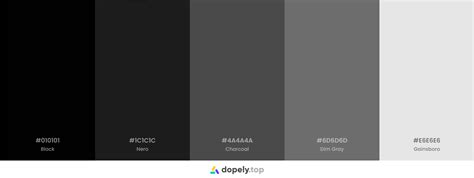 very light black hex code