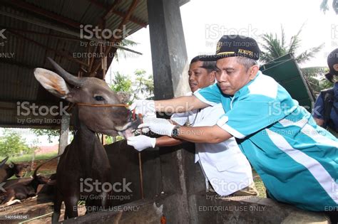 Veterinarian Indonesia