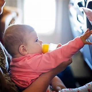 Viajar Con Bebes