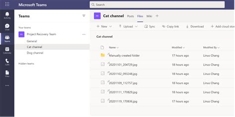 view teams files in sharepoint