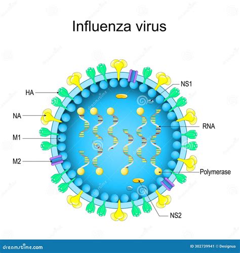 virus flu