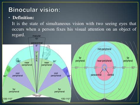 visual field explain