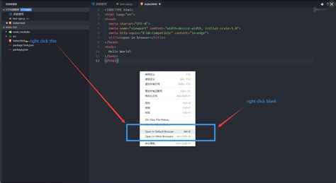 visual studio code open html in default browser