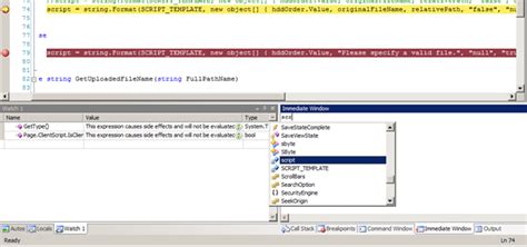 visual studio command window vs immediate window