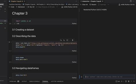 vs code jupyter notebook does not show output