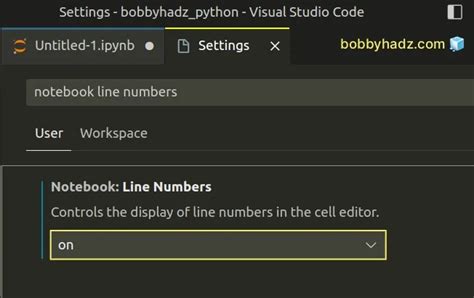 vs code jupyter notebook show line number