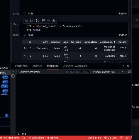 vscode jupyter notebook debug not working